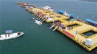 經濟日報 聚焦榮成 帶你揭秘 吃 海新招式