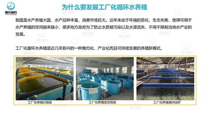 工廠化養(yǎng)魚(yú)