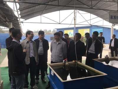 全國水產技術推廣總站張鋒書記到晉江福大鮑魚水產調研