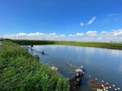 養魚就是養水,廠家如何研發有效調水產品?|陳昌福專欄