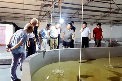 【熱點(diǎn)】山東省科協(xié)助力創(chuàng)新驅(qū)動(dòng)發(fā)展行動(dòng)走進(jìn)無(wú)棣縣現(xiàn)代海洋漁業(yè)協(xié)同創(chuàng)新基地