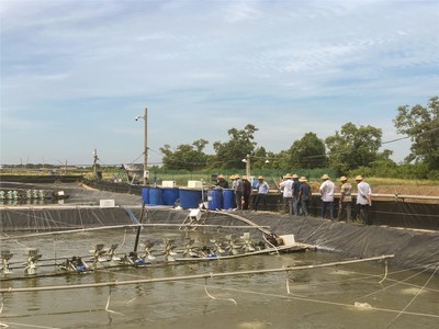 越南升龍:海大集團(tuán)國(guó)際化戰(zhàn)略的先行軍