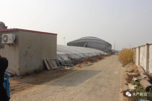 飼料營(yíng)養(yǎng)如何堪比活餌 工廠化排水如何環(huán)保 高投入下是否意味著高收益