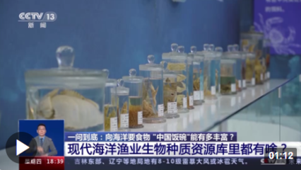 向海洋要食物,&ldquo;中國飯碗&rdquo;會有多豐富?建設&ldquo;藍色糧倉&rdquo;我們這么干