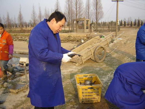 新冠肺炎疫情對漁業影響與春季生產技術指導意見 以江西為例