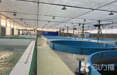 已達(dá)14家!蘇州新增6家水產(chǎn)類省級(jí)特色優(yōu)勢種苗中心