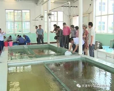 換新水產良種場:以科技與創新發展帶動淡水養殖