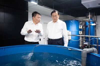 王忠林調研民營企業發展并召開座談會