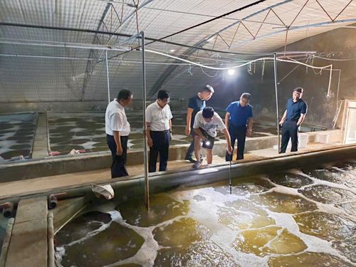 東營(yíng)市人民政府 部門(mén)動(dòng)態(tài) 市海洋發(fā)展和漁業(yè)局局長(zhǎng)荊向輝帶隊(duì)開(kāi)展 進(jìn)漁村 入漁港 上漁船 訪(fǎng)漁民 活動(dòng)