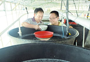 小魚苗 大產(chǎn)業(yè)