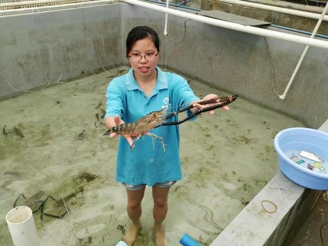 廣東18人上榜!首屆&ldquo;全國鄉(xiāng)村振興青年先鋒&rdquo;評選結(jié)果揭曉