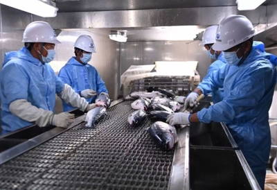 山東省人民政府國有資產(chǎn)監(jiān)督管理委員會(huì)