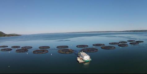 福建國際朋友圈之美洲篇--走進(jìn)&ldquo;加拿大海洋游樂場&rdquo;新斯科舍省