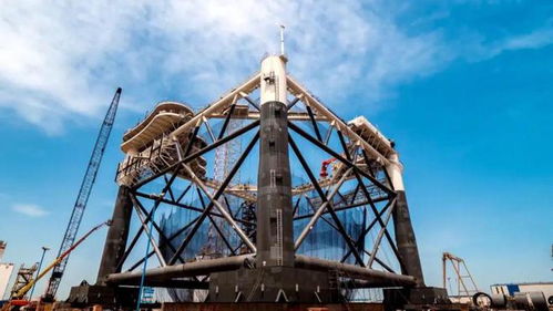 對話大國漁院士麥康森 用顛覆性技術(shù)生產(chǎn)新蛋白源,端穩(wěn)水產(chǎn)養(yǎng)殖 金飯碗