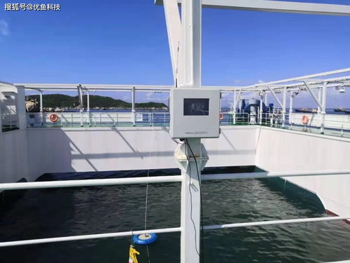 優(yōu)魚技術(shù)讓水產(chǎn)養(yǎng)殖實現(xiàn)數(shù)字化養(yǎng)殖