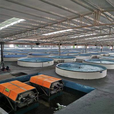 正規(guī)的室內(nèi)循環(huán)水養(yǎng)殖上門安裝,更省錢,歡迎咨詢了解