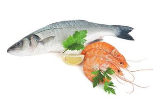 青企打造水產養殖云服務平臺