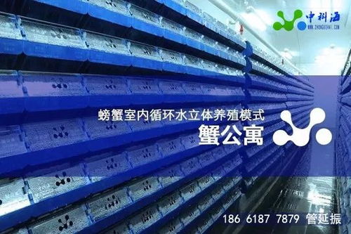 4月 金磚 水產(chǎn)盛會(huì)邀請(qǐng)函 這些先進(jìn)的養(yǎng)殖設(shè)備和技術(shù)將集體亮相廈門(mén)