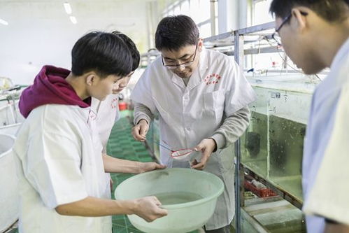 要會和魚蝦 對話 這個(gè)專業(yè)培養(yǎng)新一代水產(chǎn)人