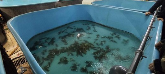 【中國日報(bào)網(wǎng)】新征程再奮斗,新疆吉木乃調(diào)研學(xué)習(xí)拓視野