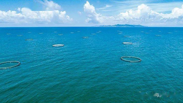 &ldquo;十三五&rdquo;廣東漁業(yè) 走出生態(tài)綠色漁業(yè)發(fā)展新路子