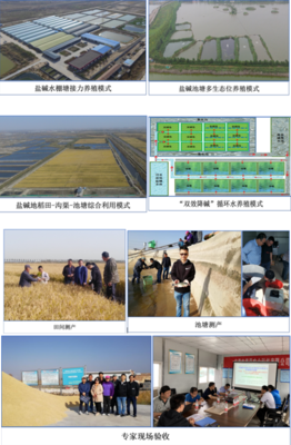 中國(guó)水產(chǎn)科學(xué)研究院東海所牽頭的藍(lán)色糧倉(cāng)重點(diǎn)專項(xiàng)課題&ldquo;鹽堿水質(zhì)綜合改良調(diào)控技術(shù)研發(fā)與養(yǎng)殖模式構(gòu)建&rdquo;開展2020年度現(xiàn)場(chǎng)驗(yàn)收