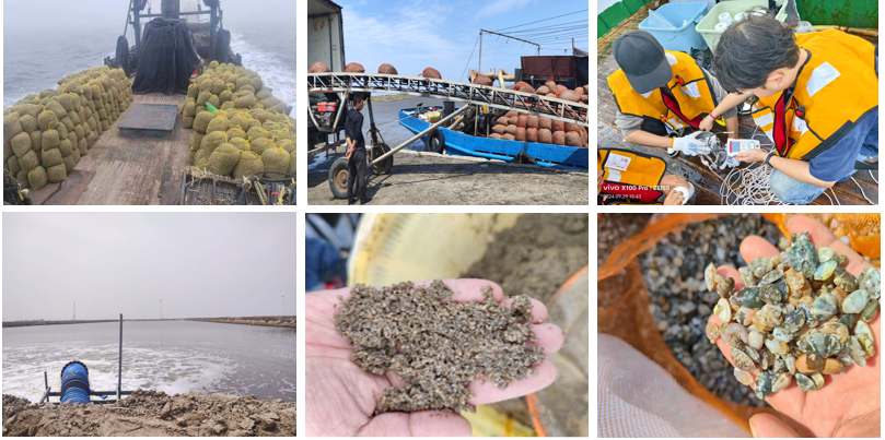 科技創(chuàng)新驅(qū)動(dòng)水產(chǎn)養(yǎng)殖業(yè)高質(zhì)量發(fā)展——我校兩項(xiàng)科技成果榮獲中國(guó)水產(chǎn)學(xué)會(huì)范蠡科學(xué)技術(shù)獎(jiǎng)